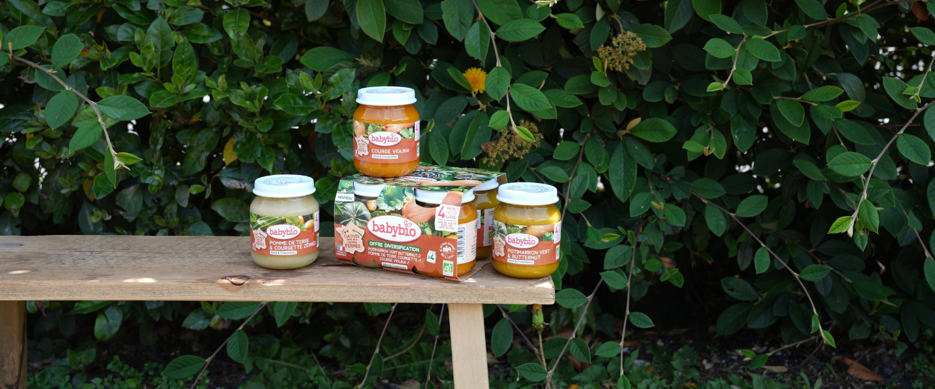 Découvrez les légumes [originaux] cultivés dans nos fermes